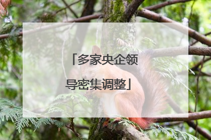 多家央企领导密集调整