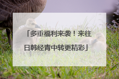 多重福利来袭！来往日韩经青中转更精彩