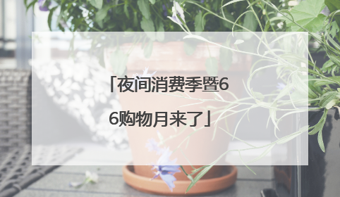 夜间消费季暨66购物月来了