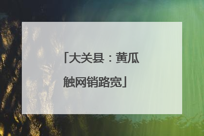 大关县：黄瓜触网销路宽