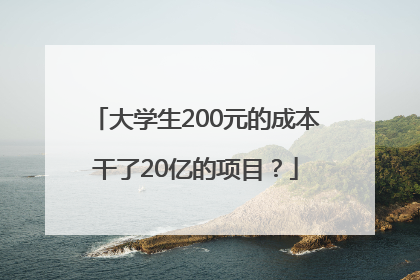 大学生200元的成本干了20亿的项目？