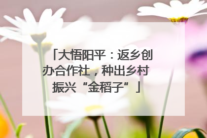大悟阳平：返乡创办合作社，种出乡村振兴“金稻子”