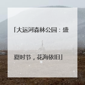 大运河森林公园：盛夏时节，花海依旧