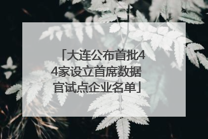 大连公布首批44家设立首席数据官试点企业名单