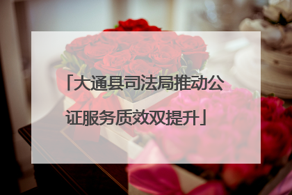 大通县司法局推动公证服务质效双提升