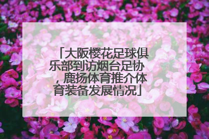 大阪樱花足球俱乐部到访烟台足协，鹿扬体育推介体育装备发展情况