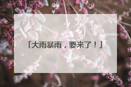 大雨暴雨，要来了！