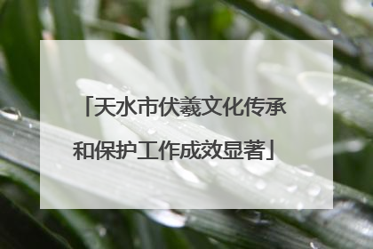 天水市伏羲文化传承和保护工作成效显著