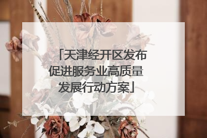 天津经开区发布促进服务业高质量发展行动方案