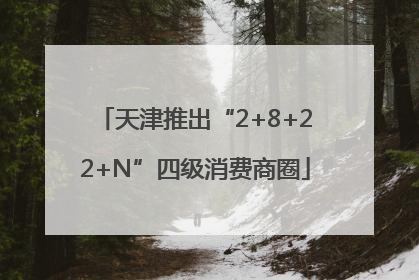 天津推出“2+8+22+N”四级消费商圈