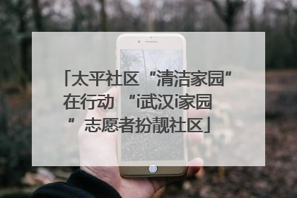 太平社区“清洁家园”在行动 “i武汉i家园”志愿者扮靓社区