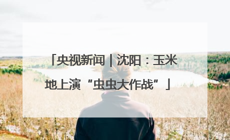 央视新闻｜沈阳：玉米地上演“虫虫大作战”