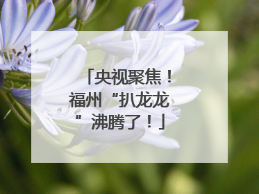 央视聚焦！福州“扒龙龙”沸腾了！