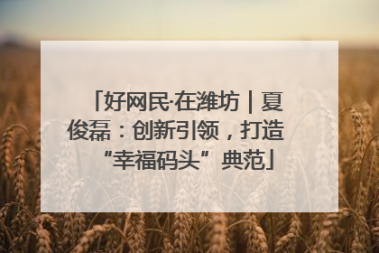 好网民·在潍坊｜夏俊磊：创新引领，打造“幸福码头”典范
