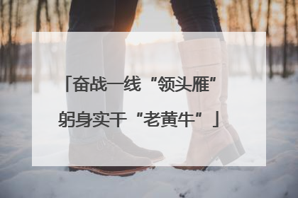 奋战一线“领头雁” 躬身实干“老黄牛”
