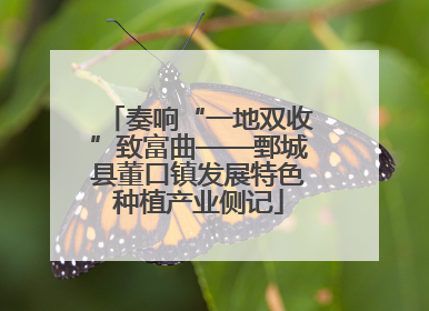 奏响“一地双收”致富曲——鄄城县董口镇发展特色种植产业侧记