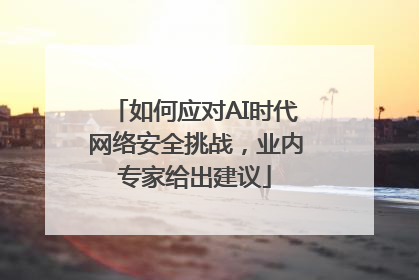 如何应对AI时代网络安全挑战，业内专家给出建议