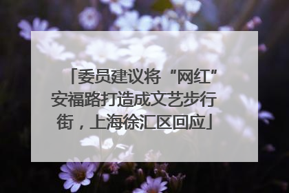 委员建议将“网红”安福路打造成文艺步行街，上海徐汇区回应