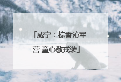 威宁：棕香沁军营 童心敬戎装