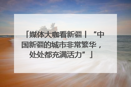 媒体大咖看新疆丨“中国新疆的城市非常繁华，处处都充满活力”