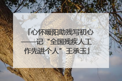 心怀暖阳助残写初心——记“全国残疾人工作先进个人”王承玉