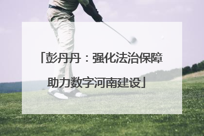 彭丹丹：强化法治保障 助力数字河南建设
