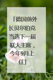 德国前外长贝尔伯克当选下一届联大主席，今年9月上任