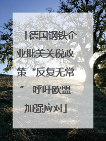 德国钢铁企业批美关税政策“反复无常” 呼吁欧盟加强应对