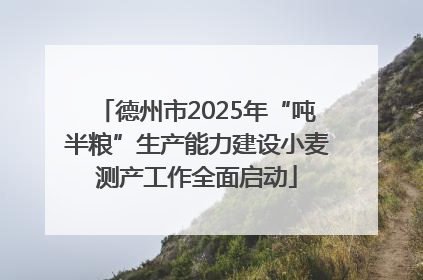 德州市2025年“吨半粮”生产能力建设小麦测产工作全面启动