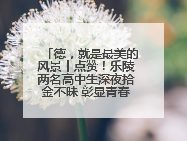 德，就是最美的风景丨点赞！乐陵两名高中生深夜拾金不昧 彰显青春正能量