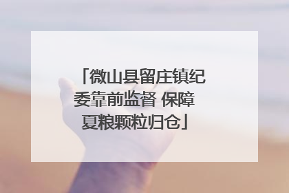 微山县留庄镇纪委靠前监督 保障夏粮颗粒归仓