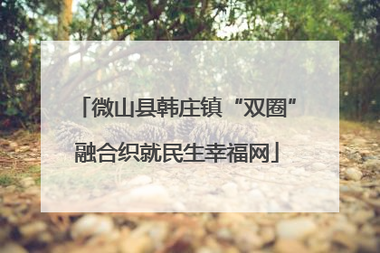 微山县韩庄镇“双圈”融合织就民生幸福网