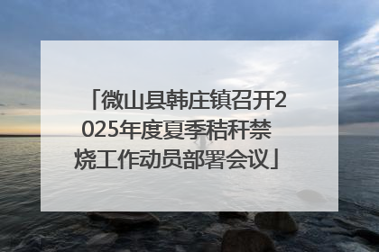 微山县韩庄镇召开2025年度夏季秸秆禁烧工作动员部署会议