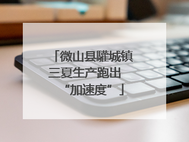 微山县驩城镇三夏生产跑出 “加速度”