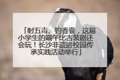 射五毒、钓香囊，这届小学生的端午比古装剧还会玩！长沙非遗进校园传承实践活动举行