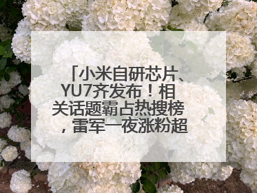 小米自研芯片、YU7齐发布！相关话题霸占热搜榜，雷军一夜涨粉超20万
