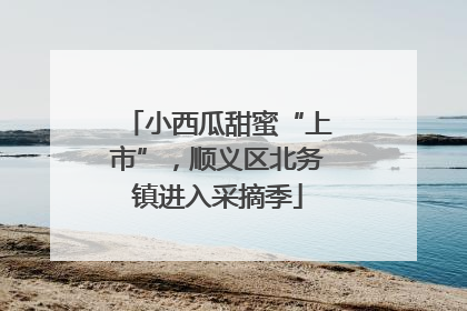 小西瓜甜蜜“上市”，顺义区北务镇进入采摘季