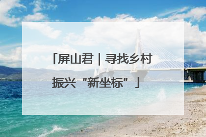 屏山君｜寻找乡村振兴“新坐标”
