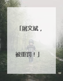 屠文斌，被重罚！