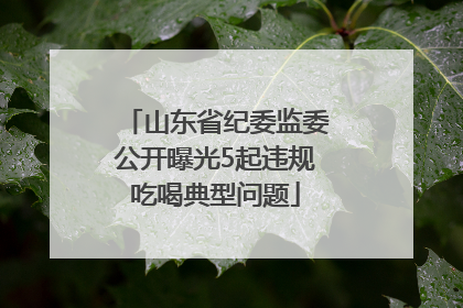山东省纪委监委公开曝光5起违规吃喝典型问题