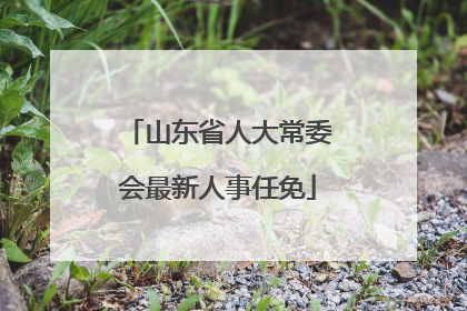 山东省人大常委会最新人事任免