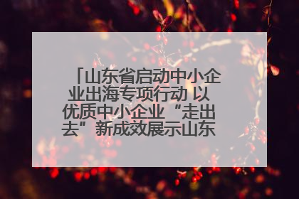 山东省启动中小企业出海专项行动 以优质中小企业“走出去”新成效展示山东产业发展新形象