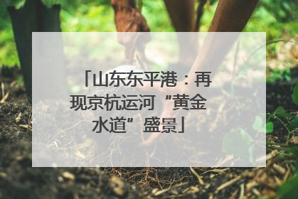 山东东平港：再现京杭运河“黄金水道”盛景