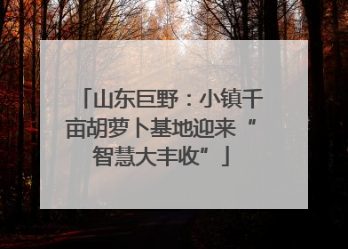 山东巨野：小镇千亩胡萝卜基地迎来“智慧大丰收”