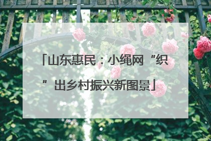 山东惠民：小绳网“织”出乡村振兴新图景