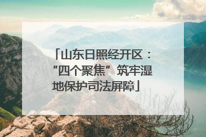 山东日照经开区：“四个聚焦”筑牢湿地保护司法屏障