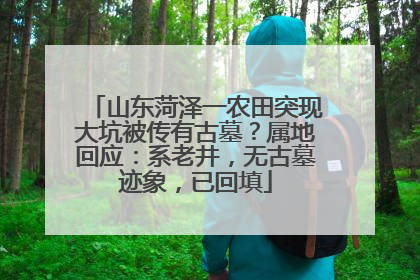 山东菏泽一农田突现大坑被传有古墓？属地回应：系老井，无古墓迹象，已回填