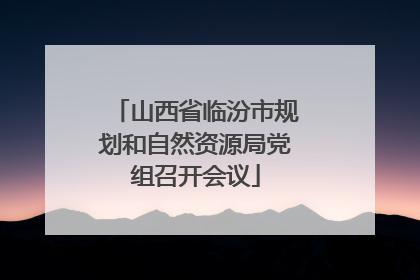 山西省临汾市规划和自然资源局党组召开会议