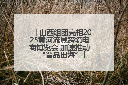 山西组团亮相2025黄河流域跨境电商博览会 加速推动“晋品出海”