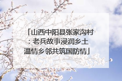 山西中阳县张家沟村：老兵故事浸润乡土 温情乡邻共筑国防情